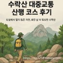 OK쉼터분식 | 수락산역에서 시작하는 봄 산책, 초록이 반겨주는 코스