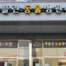 채플린동물병원 이미지