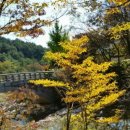 고향내음 이미지