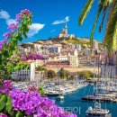 (주)제주세일여행사 이미지