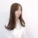 데일리브라운 이미지