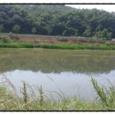 남양호 상류 이미지