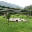 가자농장 이미지