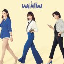 펫바라기 이미지