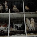 연민농장 이미지