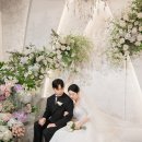 에메랄드 하우스 | HW컨벤션 에메랄드홀 촬영 후기｜하우스웨딩 분위기와 생화 플라워의 완성도