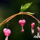 보인2리 이미지