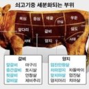 청주한우청우 이미지