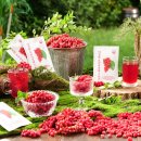 (주)지니트레저 이미지