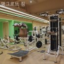 맹그로브 짐 이미지