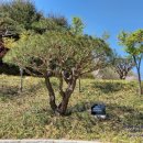 호텔홍천궁 이미지