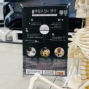 하모니모터스