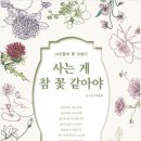 기분꽃같네 뉴스1