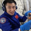 ch po love 이미지