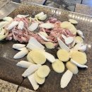 황금오리 이미지