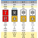 금오행정사 이미지