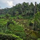 공천포전지훈련센터(실외) | 발리 신혼여행 짐바란 아야나 림바 와나 리조트 숙소 바투르산 일출 지프 일일 투어 더 카욘 정글 리조트