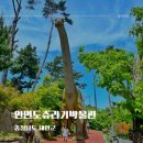 안면도쥬라기공원 | 안면도 쥬라기공원 아이랑 가볼 만한 곳 추천