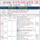 12월28~30일 오사카 교토 2박3일 연말특가 이미지