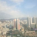 푸른길양우내안애공인중개사사무소 이미지