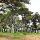 203 | 서산 석남동 석불입상(瑞山 石南洞 石佛立像).충남