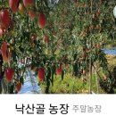 태희2농장 이미지