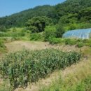 서면 당림2리 이미지