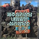 쉬어가는곳 | 제주심리상담센터 내맘같은 심리상담소 쉬어가는 체험 후기