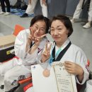 태권도장 채움 이미지