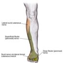 생기나라한의원 이미지