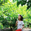 원창농장 이미지