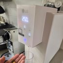 369 | 트루엔 지중해 올리브오일 햄프 369 공복 추천 후기