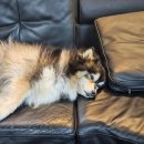 우리이용원 | 울산 남자머리 잘하는 곳 맨스페이스 울산무거점 후기