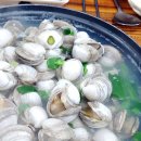 오! 분식카페 | 추워질수록 생각나는 칼칼한 손칼국수와 톡 터지는 동죽 물총탕, 대전 유성 맛집 &#39;오씨칼국수 도룡점&#39;