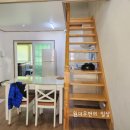 놀멍애견펜션 | 첫 애견 펜션 스파도 즐길 수 있는 놀멍 애견 펜션