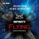 인피니티플라잉 이미지