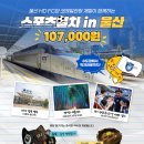 문수관광 이미지