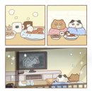 고냥이네 이미지