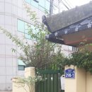 청송솔기온천 이미지