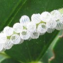 광덕4리 이미지