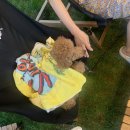 스카이스위트 이미지