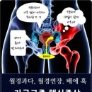 경희그린한의원 네이버블로그