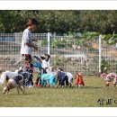 샴프네집 이미지