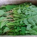 충렬농장 이미지