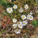 미래요양병원 이미지