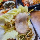 해인생고기