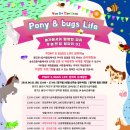 용인포니클럽 이미지