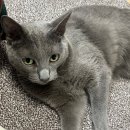 장수약국 | [결혼준비/웨딩밴드]종로 웨딩밴드 투어 후기_조이아 주얼리, 에버레이어 등(계약완료!)