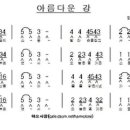 아름다운 강.베이스 이미지