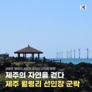 제주 월령리 선인장군락 | 제주 월령리 선인장 군락 주차 월령포구 진아영 무명천 할머니 삶터
